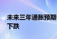 未来三年通胀预期中升值 国际黄金反弹不改下跌