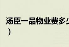 汤臣一品物业费多少（一年费用令人不敢相信）