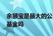 余额宝是最大的公募基金吗 余额宝属于公募基金吗