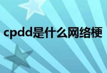 cpdd是什么网络梗（cpdd是什么网络用语）