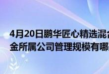 4月20日鹏华匠心精选混合C一个月来涨了多少（2020年基金所属公司管理规模有哪些）