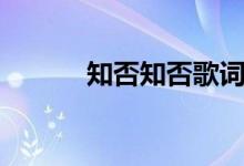 知否知否歌词（知否知否歌词）