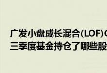 广发小盘成长混合(LOF)C的基金经理业绩如何（2021年第三季度基金持仓了哪些股票）