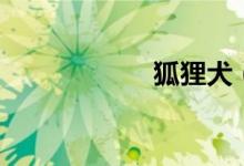 狐狸犬（狐狸金服）