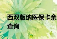 西双版纳医保卡余额查询 西双版纳医疗保险查询