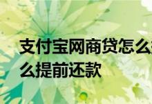 支付宝网商贷怎么提高额度 支付宝网商贷怎么提前还款