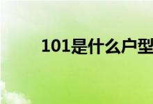 101是什么户型（101是什么意思）