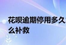 花呗逾期停用多久才能恢复 花呗逾期停用怎么补救