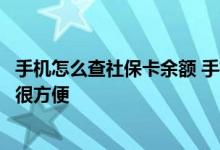 手机怎么查社保卡余额 手机微信支付宝查询社保余额的方法很方便 