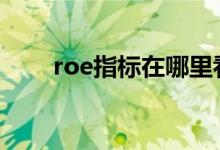 roe指标在哪里看 roe指标在哪里看