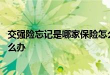 交强险忘记是哪家保险怎么查 交强险忘记在哪家保险保的怎么办