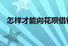 怎样才能向花呗借钱 花呗可以借钱出来吗