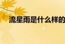 流星雨是什么样的视频（流星雨是什么）