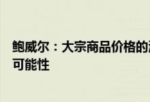 鲍威尔：大宗商品价格的波动可能会使美联储失去软着陆的可能性