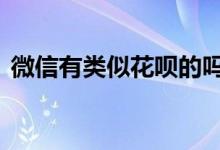 微信有类似花呗的吗 微信有类似花呗支付吗