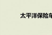 太平洋保险车损险条款是什么