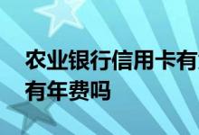 农业银行信用卡有免费的吗 农业银行信用卡有年费吗