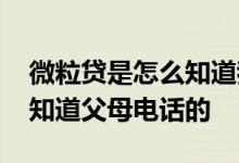 微粒贷是怎么知道我亲属电话的 微粒贷怎么知道父母电话的