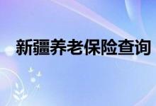 新疆养老保险查询 新疆个人养老保险查询