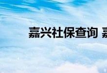 嘉兴社保查询 嘉兴个人社保卡查询