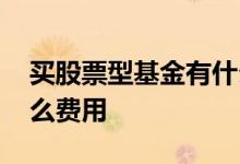 买股票型基金有什么费用 买股票型基金有什么费用