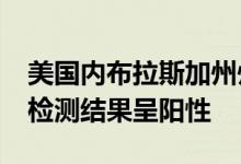 美国内布拉斯加州州长彼得·里基茨新冠病毒检测结果呈阳性