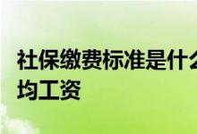 社保缴费标准是什么，是年平均工资还是月平均工资