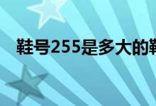鞋号255是多大的鞋（鞋号255是多大码）