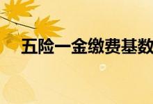 五险一金缴费基数是什么意思 怎么确定 