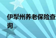 伊犁州养老保险查询 伊犁州个人养老保险查询