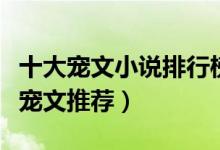 十大宠文小说排行榜（好看的宠文有哪些超甜宠文推荐）