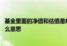 基金里面的净值和估值是啥意思 基金股票里的净值估值是什么意思