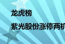 龙虎榜|紫光股份涨停两机构合计买入1.75亿元