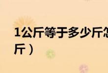 1公斤等于多少斤怎么算的（1公斤等于多少斤）