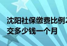 沈阳社保缴费比例2022年多少 沈阳自费社保交多少钱一个月 