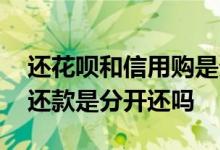 还花呗和信用购是分开还的吗 花呗和信用购还款是分开还吗