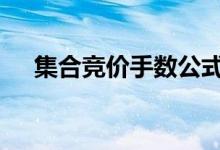 集合竞价手数公式 集合竞价手数怎么看