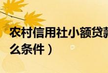 农村信用社小额贷款利息一般是多少（需要什么条件）