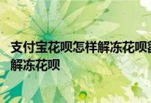 支付宝花呗怎样解冻花呗额度 花呗逾期之后什么办法能快速解冻花呗