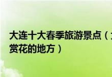 大连十大春季旅游景点（大连春天去哪里好玩大连春季踏青赏花的地方）