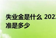失业金是什么 2022年广州失业保险金领取标准是多少 