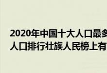 2020年中国十大人口最多少数民族（2020我国少数民族总人口排行壮族人民榜上有名）