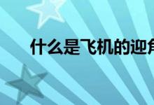 什么是飞机的迎角（什么是飞机引擎）