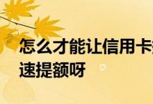 怎么才能让信用卡提额 如何才能将信用卡快速提额呀