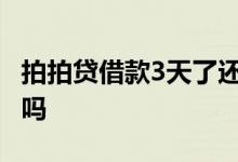 拍拍贷借款3天了还在筹集中 拍拍贷还能借款吗