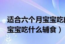 适合六个月宝宝吃的十大辅食食谱（6个月的宝宝吃什么辅食）
