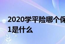 2020学平险哪个保险公司好 亚太学平险2021是什么