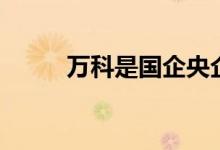 万科是国企央企吗 万科是国企吗 