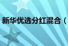 新华优选分红混合（519087）基金投资分析