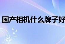 国产相机什么牌子好（值得入手的品牌排名）